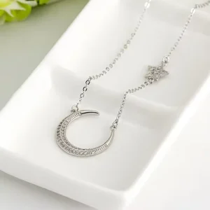RENSINO 925 Sterling Silver Crystal Star Pendant Necklace Pure Silver Jewelry for Women