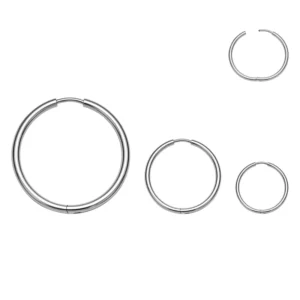 RENSINO ASTM F136 Titanium Hinged Segment Ring Nose Hoop Ear Cartilage Septum Piercing Jewelry for Women