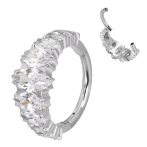 RENSINO ASTM F136 Titanium Hinged Segment Ring Shape Zirconia Hinged Segment Rings Septum Clicker Body Jewelry Earring Piercing Jewelry