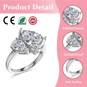 RENSINO Classic Dainty Design 925 Sterling Silver Silver Plated Double Stone 8A Crushed Iced Out Cut Cubic Zirconia Jewelry Rings