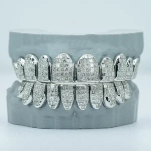 RENSINO Custom Invisible Setting Teeth Fine Grillz 925 Silver 10K 14K 18K Solid Gold D VVS Princess Cut Moissanite Grillz for Teeth