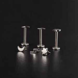 RENSINO Diamond Cut Heart Stud Earring Titanium 18G 16G Threadless Push Pin Labret Tragus Cartilage Earrings Conch Lip Piercing Jewelry