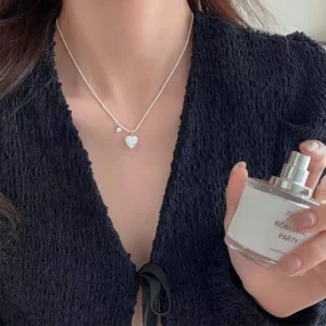 RENSINO FY PL091 Korean Version Of The Same Love Silver Necklace Light Luxury Niche High end Female Star Cold Wind Clavicle Chain