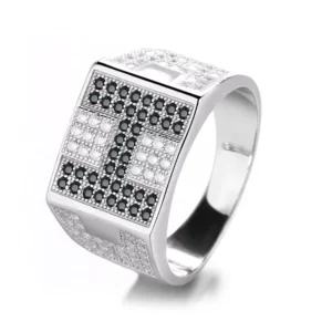 RENSINO Fine Jewelry Factory Directly Sale Men’s Rings Silver 925 Ring Stone for Men Gifts