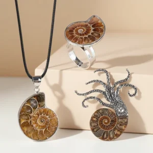 RENSINO Handmade Natural Conch Ammonite Fossil Pendant Rings Brooch Shell Necklace For Women’s Party Anniversary Wedding Gift