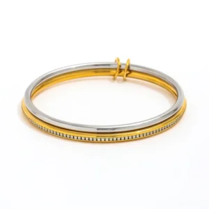 RENSINO High End Stainless Steel Gold Plated Dainty Round Zirconia Pave Double Circle Two tone Bangle Bracelet for Women Fashion Jewelry