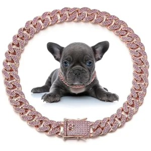RENSINO In Stock Euro Hip Hop Gold Dog Collar Rhinestone Accent Solid Color Trendy Pet Neck Jewelry Ornament Pet Supply