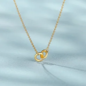 RENSINO Minimalist Silver S925 Sterling Silver Mobius Strip Necklace Double Ring Dainty Collarbone Chain for Women Daily Fashion