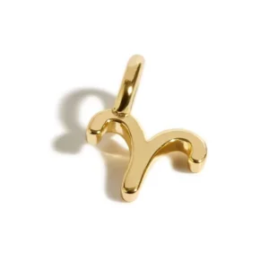 RENSINO New Fashion Waterproof Stainless Steel 12 Zodiac Constellations Sign Charm Pendants For DIY Jewelry Making