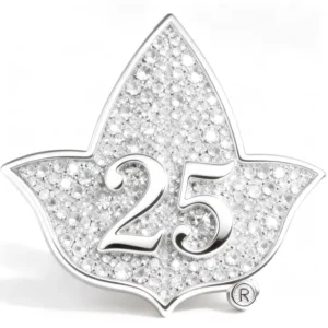 RENSINO New Ivy 25 Years Anniversary Rhinestones Brooch Gift Greek Sorority Silver Soror Star University Society College Lapel Pin Alloy
