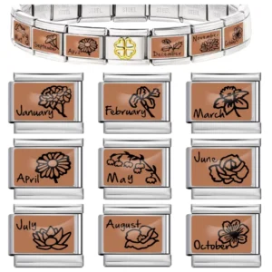 RENSINO Stainless Steel Italian Charm Bracelet December Flowers Charm Hand Chain DIY Women Bracelet Christmas Gifts