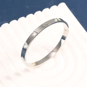 RENSINO Titanium Steel Bangle Bracelet for Women Fashion Jewelry European Style Stainless Steel Accessories