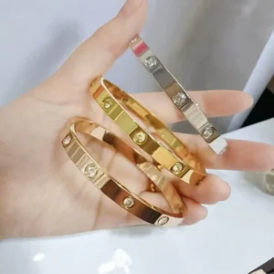 RENSINO Trendy Light Luxury Titanium Steel Bracelet Micro Infused Zircon for Women Popular Hot Selling Fashion Couple Bracelet Jewelry