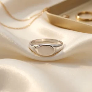 RENSINO Unique Design 925 Sterling Silver Blank Signet Ring for Men’s Customizable Engraved Signet Ring Blank Rings for Engraving