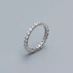 RENSINO Women’s Fashion Jewelry Design 925 Sterling Silver Casual Rings for Ladies Cubic Zirconia Eternity Ring