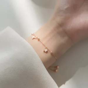 RENSINO Zircon Round Star Crown Shape Adjustable Rose Gold Plated Chain 925 Sterling Silver Charm Bracelets Fashion Jewelry for Women